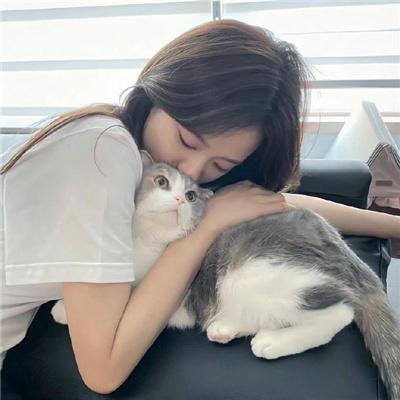 阴阳路12:美容尸
